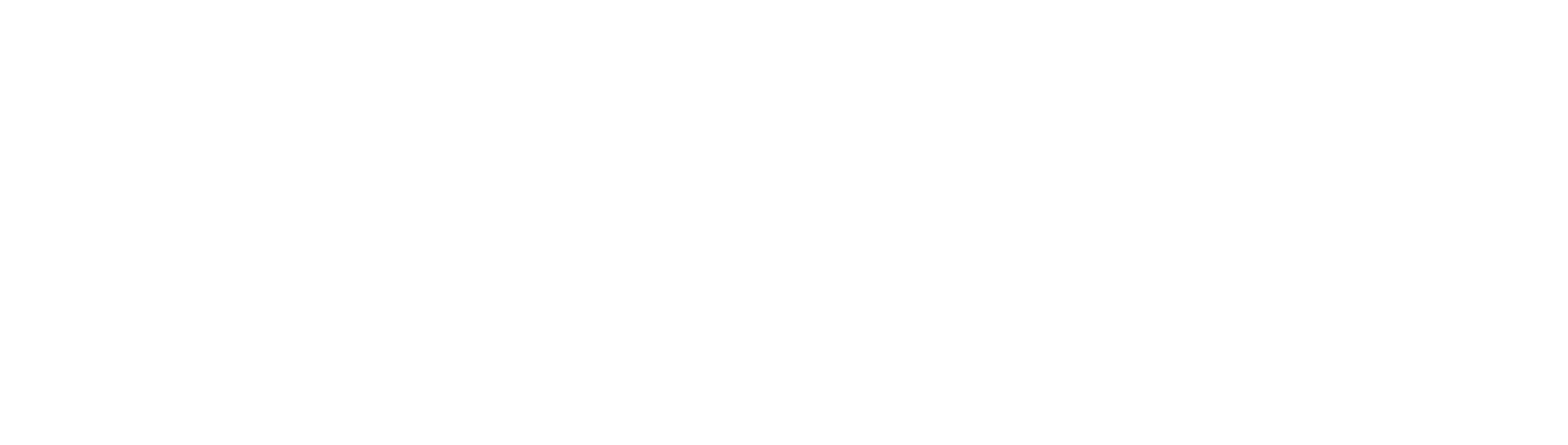 BuildPerform_RGB_Logo_White